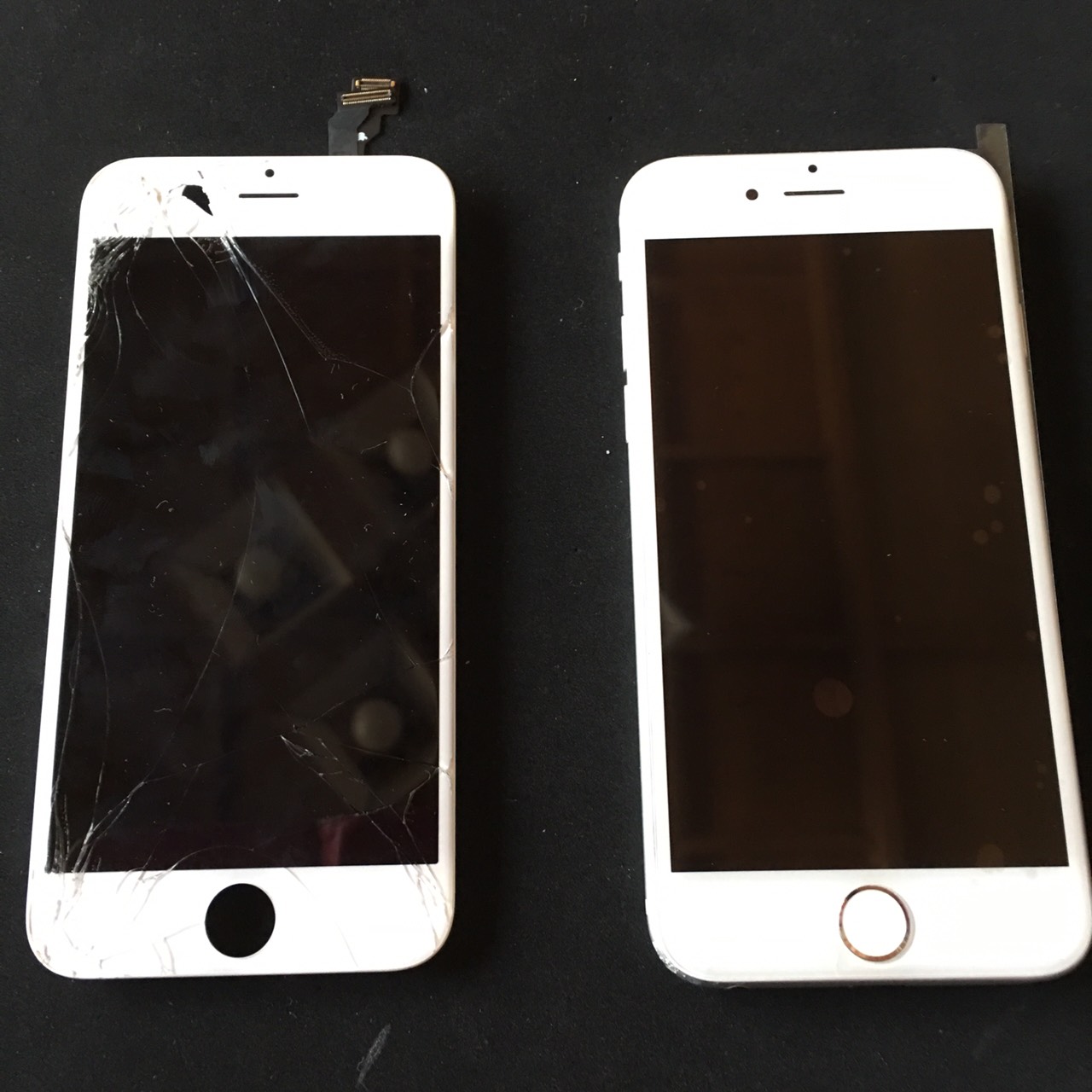 4.6 | iphone6white | パネル交換修理