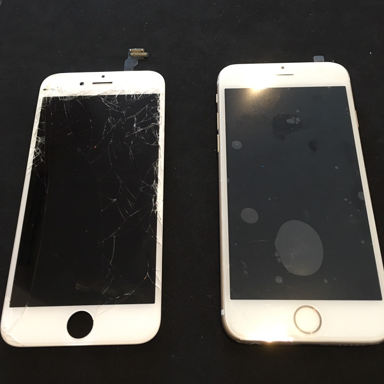 4.20 | iphone6white | パネル交換修理