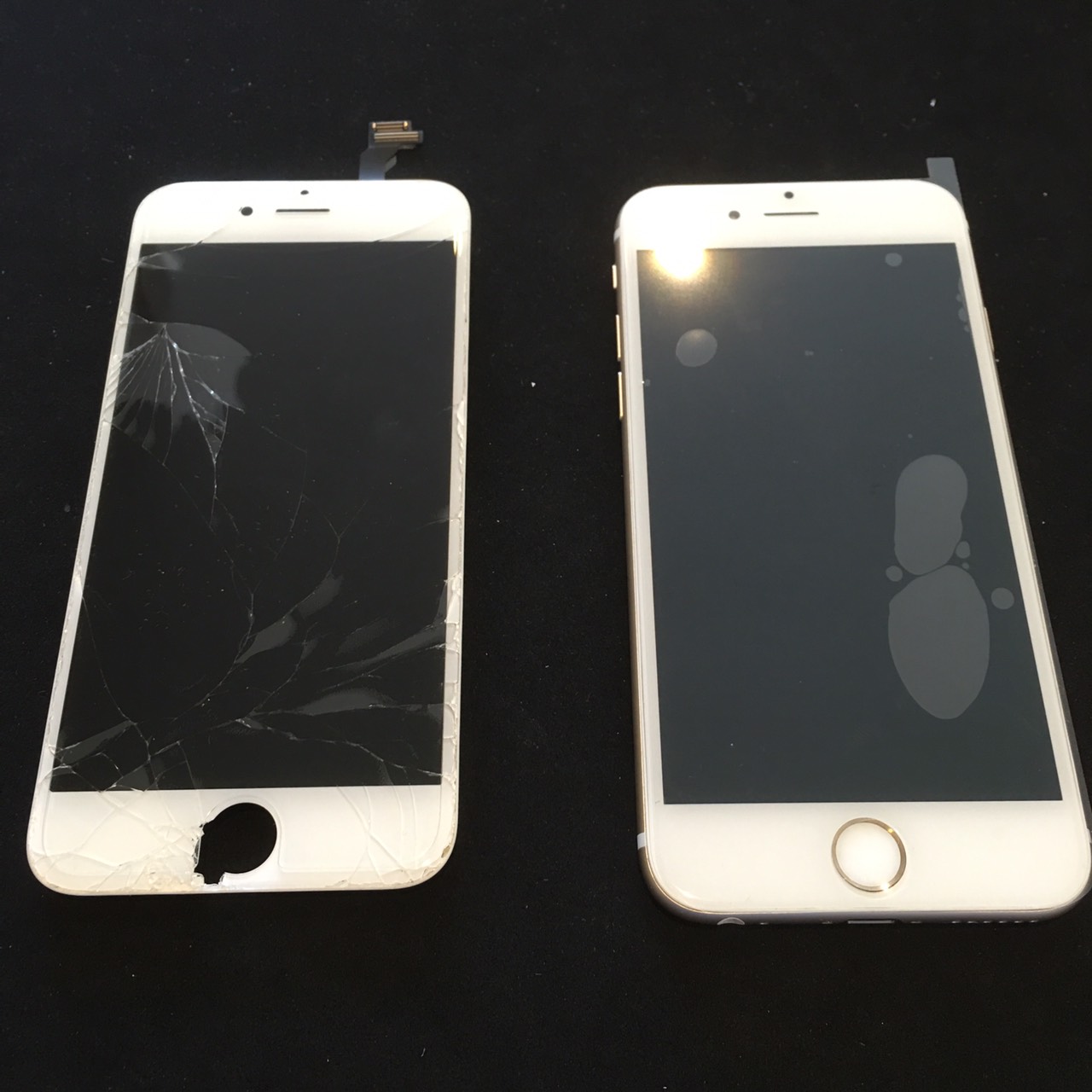 5.4 | iphone6white3 | パネル交換修理