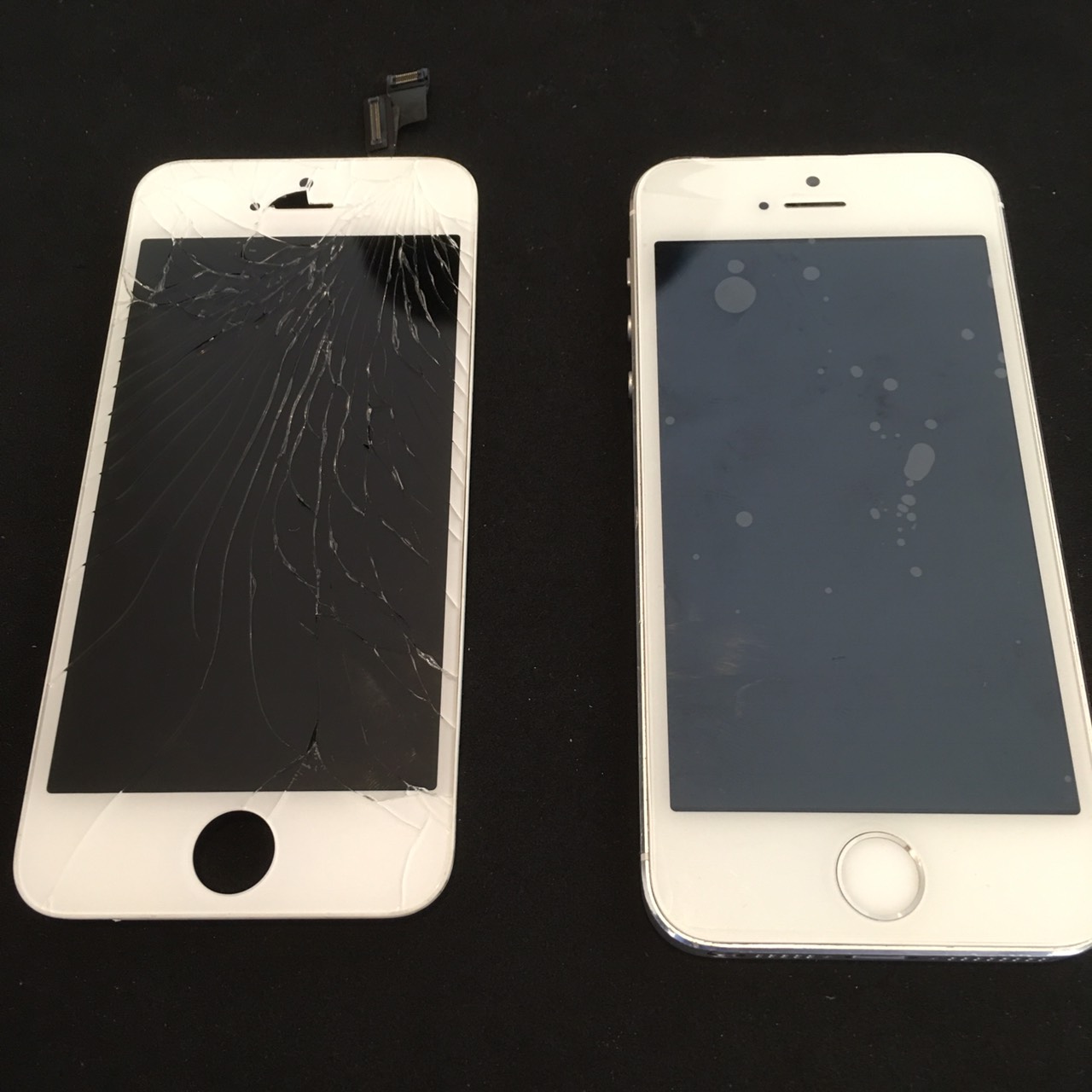 5.4 | iphone5Swhite | パネル交換修理