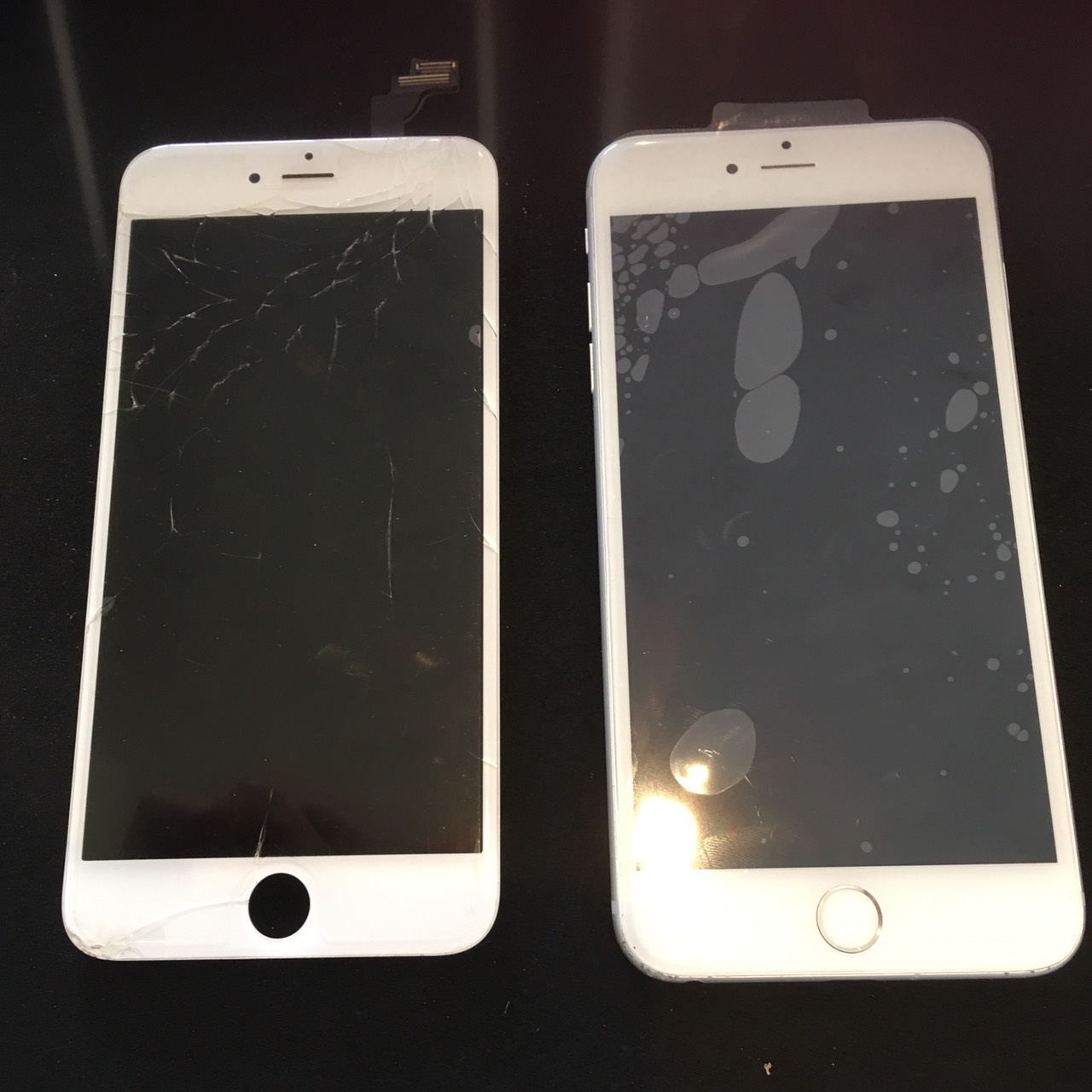 5.23 | iphone6plus | パネル交換修理