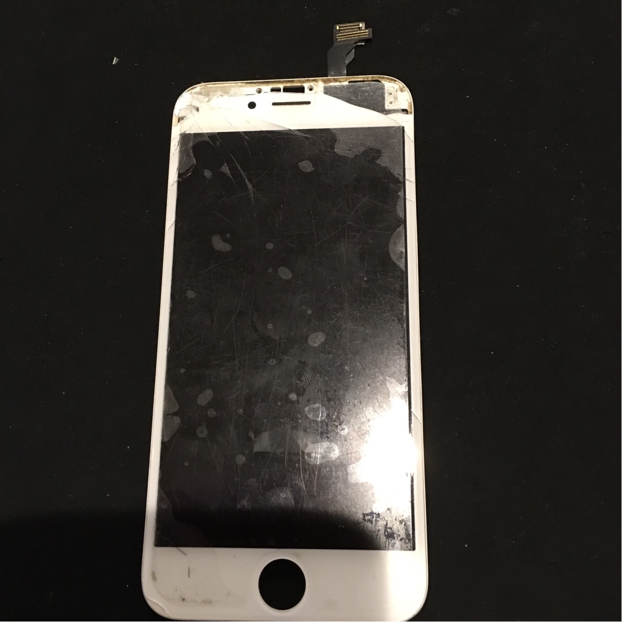 8.10 | iphone6 | パネル交換修理