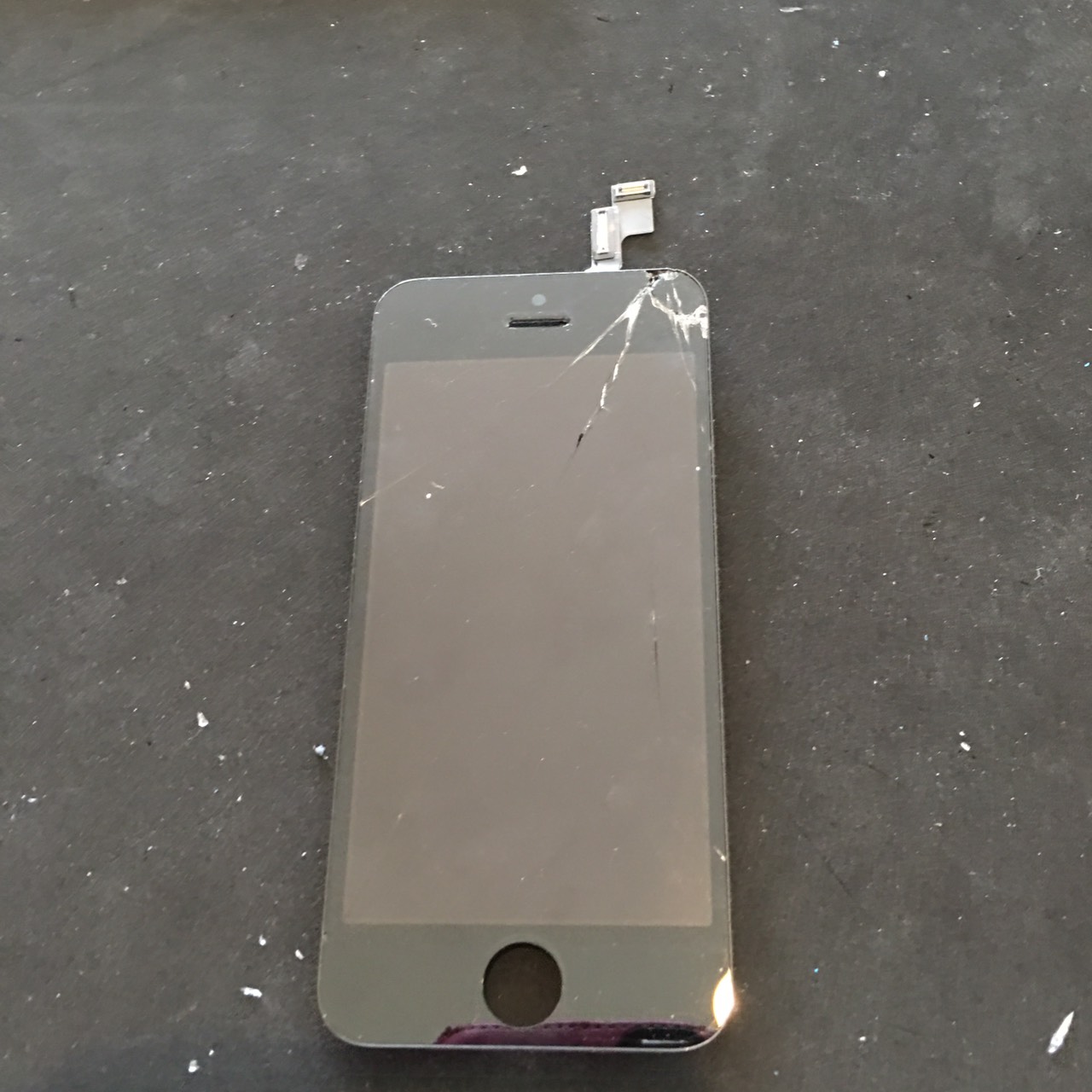 8.16 | iphone5S | パネル交換修理