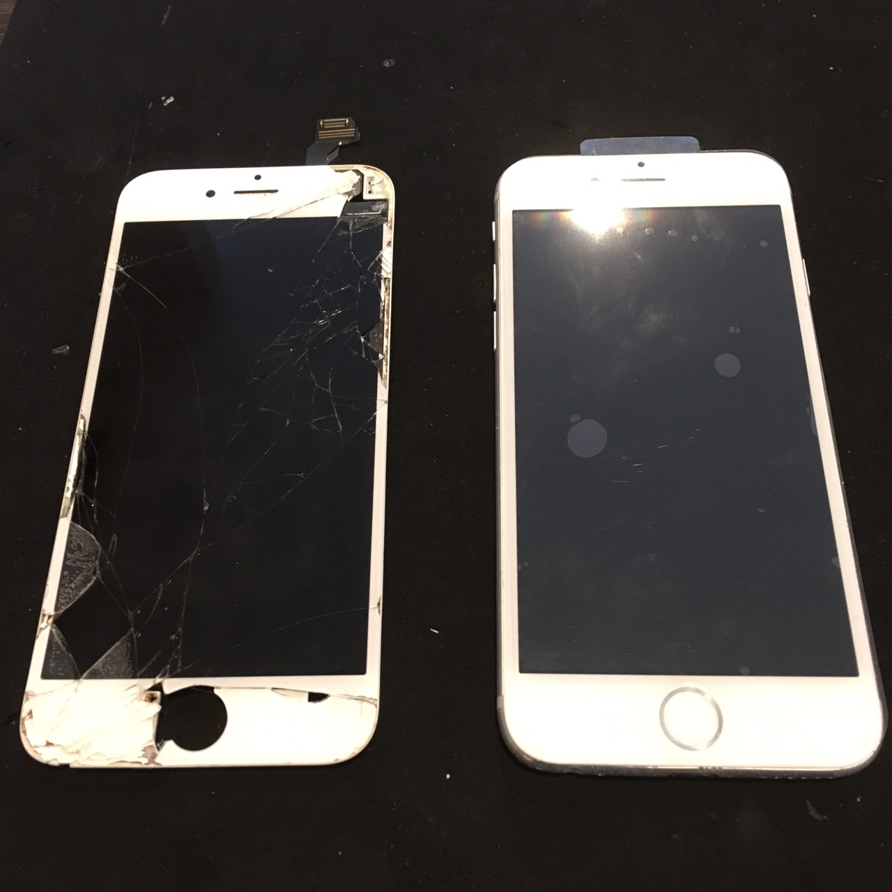 11.23 | iphone6 | パネル交換修理